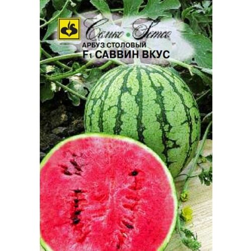 ���� ����� ������ ���� F1 (5�����) ������ ������