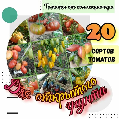 ���� ������ �������, 20 ������ ��� ��������� ������, 200 ����� ������ ������