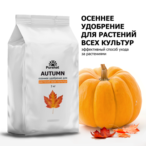 ���� ������� ��������� ������, 3�� ������ ������