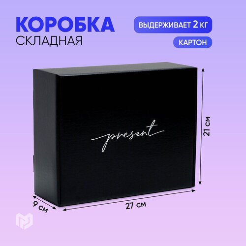 ���� ������� ���������� ������ ������� Present, 27x21x9 ��, ������ ������ ������