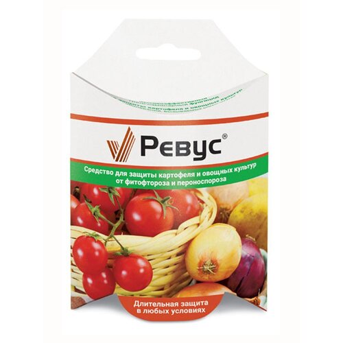 ���� ���� ��������� �������� ��� ������ ��������� � ������� ������� �����, 24 ��, 25 � ������ ������