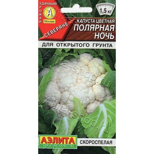 ���� ������ ������� ������� 