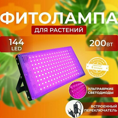 ���� ��������� ��� ����������� �������� ������� ������ ������ �������������� ������������, ����� ��������� ��� ������ � �������� ������ ������