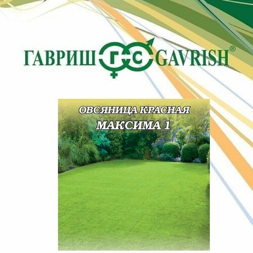 ���� ������ �������� ������� ������� 1, 1,0��, ������ ������ ������