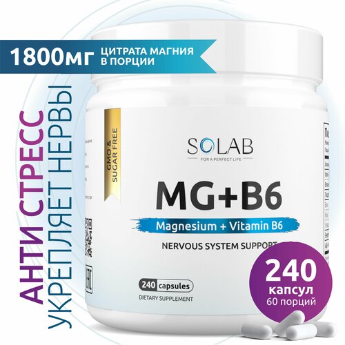 ���� ������ �6 (������ ������ � ��������� �6), �������� ��� ������� �������, 240 ������ ������ ������