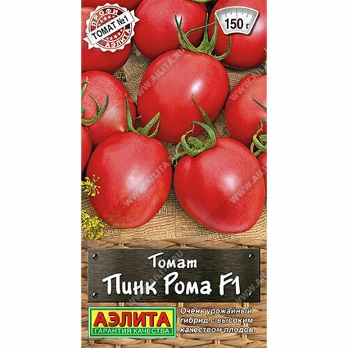 ���� ������ ����� ���� ���� F1 (������) 5�� �����-������ ������ ������