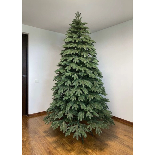 ���� ������������� ���� 