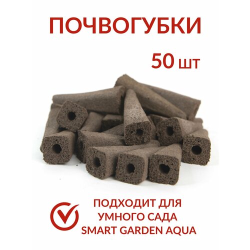 ���� ���������� �����, ��� ����� ���, 50 ����, ��������, ��������� ���������� ������ ������