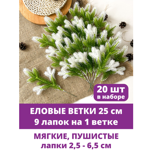 ���� ������ ����� �������������, ����� ������, ��������������, 9 ����� �� ����� 25 ��, ����� 20 ����� ������ ������