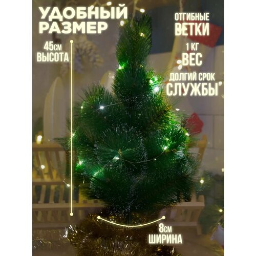 ���� ���� ������������� � ������� � �����, 45 �� ������ ������