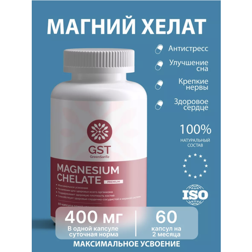 ���� ������ ����� GST 60 ������ ������ ������