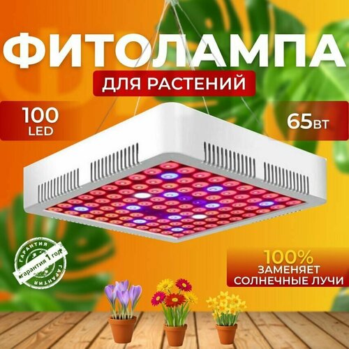          ,       100 LED 80    -     , -, 