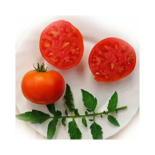 ���� ������������� ������ ������ ����������� ������ ������ ������