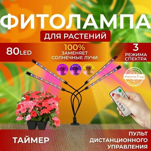 ���� ��������� ��� ����������� �������� ������� ������ ������ �������������� ������������ ��� ������ �� ������ ������� � ��������� � ��������, ����� �������������� ����������, 4 ����� ������ ������