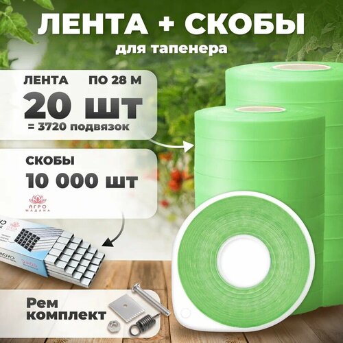 ���� ����� ��� �������� 28�. 110 ���. 20 ���� + ����� 10.000�� + ����������� ������ ������