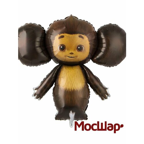 ���� ��������� ��� �������������� ��� ������ ���������, 99 ��, ������ ������ ������