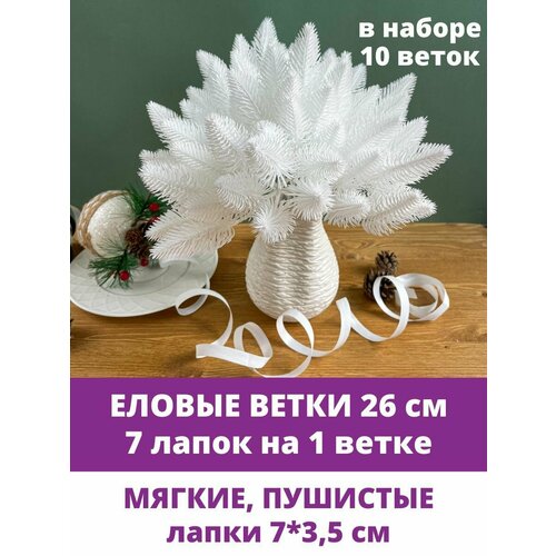 ���� ������ ����� �������������, ����� 26 ��, ����� 7 ��, 7 ����� �� �����, ����� 10 �� ������ ������