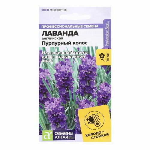 ���� ������ ������ ������� 