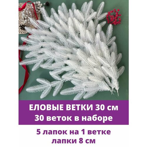 ���� ������ ����� � ����� ������������� ��� ������, 5 ����� �� �����, ����� 30 ��, 30 ����� ������ ������