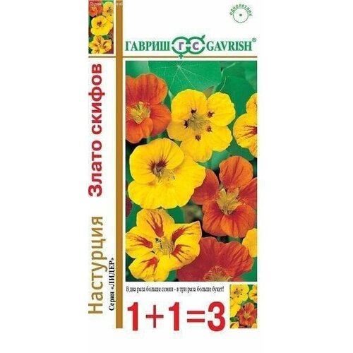 ���� ��������� 