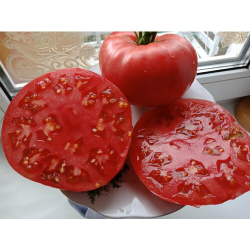 ���� ������������� ������ ������ ����������� ��������� ������ ������ ������