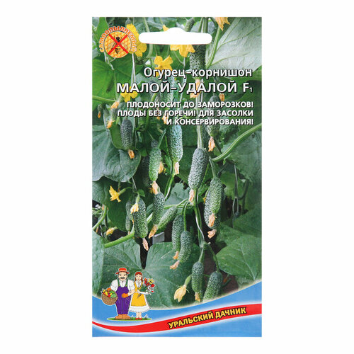 ���� ������ ������ 