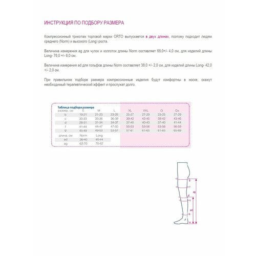  ORTO     1  (18-22  . .)/ / NORMAL XL  