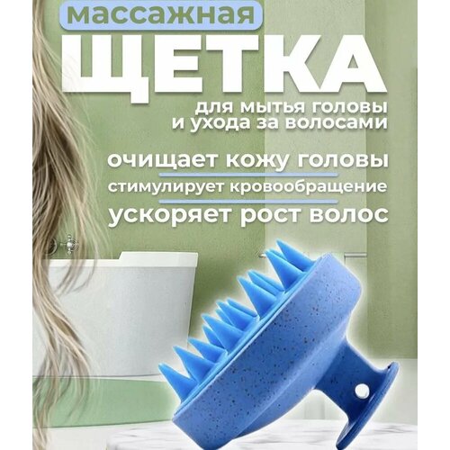 ���� ��������� ����� ��� ����� ����� � ���� ������ ����������� ����� ������ ������