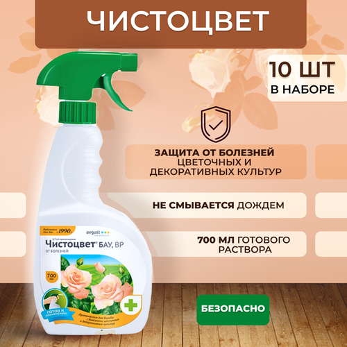 ���� August ����� ��������� ��� �� ����� �����, �����������, ��������� ���� 700 ��, 10 �� ������ ������