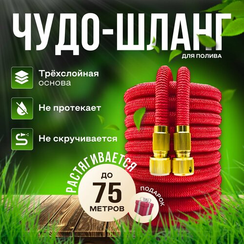 ���� ����� ������� ��������������� 75 ������ ��� ������ � ������������ � ������������/ 75 ������ ������� � ������������� �����������, ���������� ������ ������