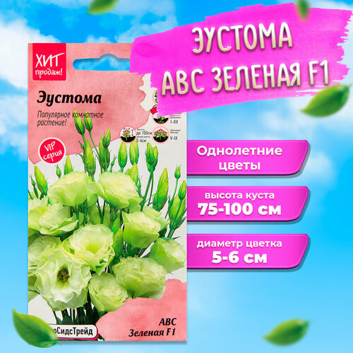 ���� ������ ������� ��� ������� F1 5 �� ������������ ������ ������