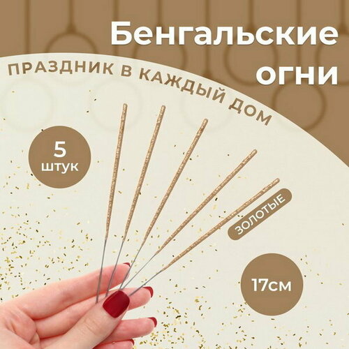 ���� ����������� ���� 