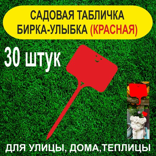 ���� ������� ����� - ������. �������� ��� ��������. 30 ���� (�������) ������ ������