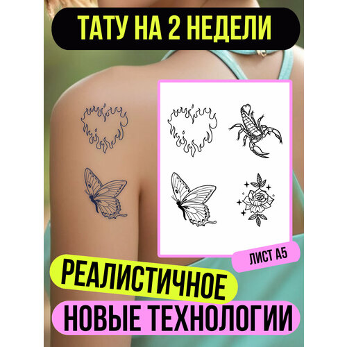 ���� ���� ���������� �������������� �������� ������ ������