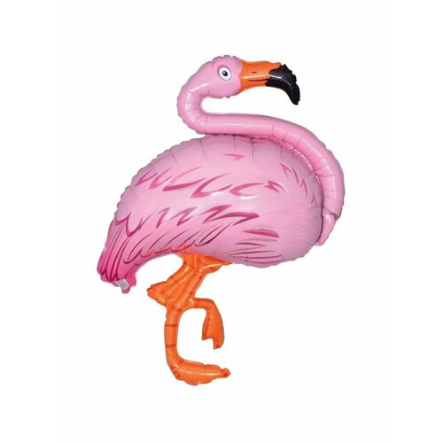 ���� ��� �� ������� ���� ������ �������� ������ ������