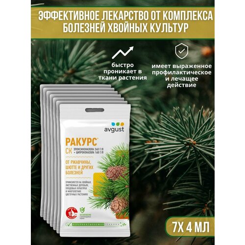 ���� �������� �� �������� ������� ��������, ��������� ��� ������ � �����, ��������� ������ 4 �� 7 �� ������ ������