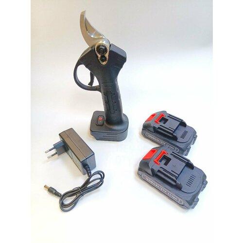 ���� �������������� ��������, ��������, �������, ������������� �������, ��� ������������ ������ ������