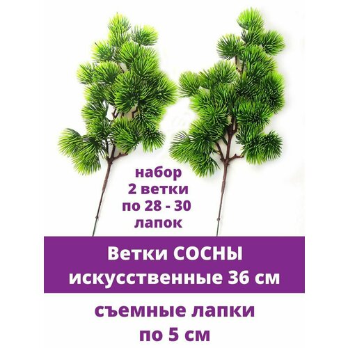 ���� �����, ������� ����� �������������, ����� ������, ��������������, ����� 2 �����, 36 �� ������ ������