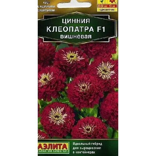 ���� ������ ��������� �������� F1, ������ ������ 12�� ������ ������