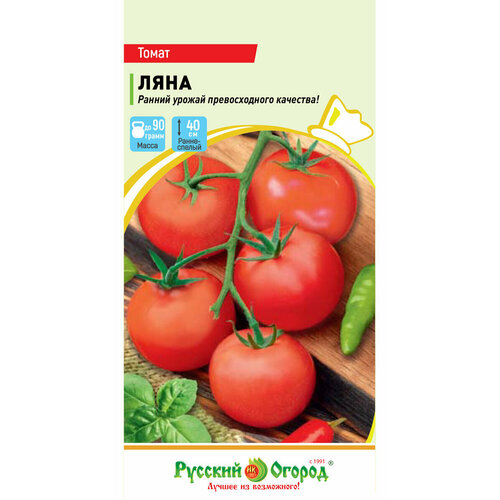 ���� ������ ������ ���� (1 ��������-0,2� �����) ������ ������