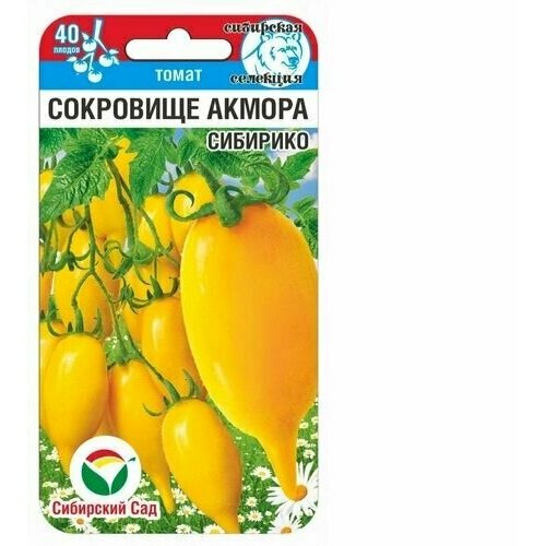 ���� ����� ��������� ������ ��� ������� ��������� ��������� (1 ��������-20�� �����) ������ ������