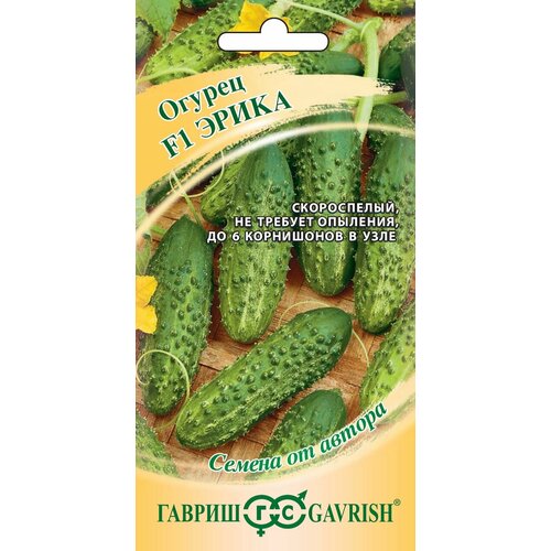 ���� ������ ������ ����� F1, 10��, ������, ������ �� ������ ������ ������