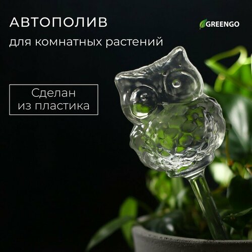 ���� ��������� ��� ��������� ��������, ���, �����, Greengo, 10120775 ������ ������