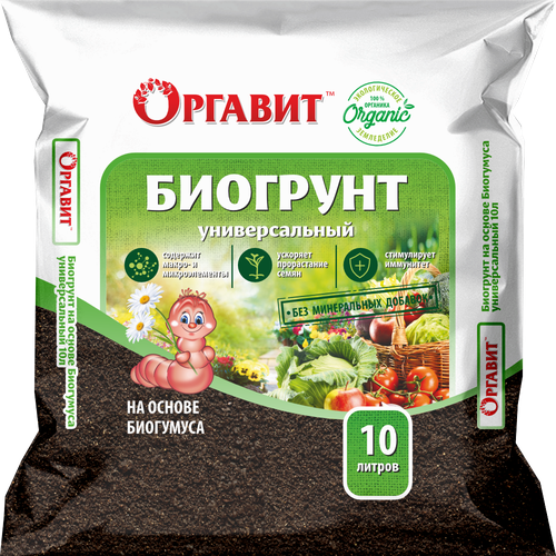 ���� ����� �� ������ ��������� ������� �������������, 10 � ������ ������