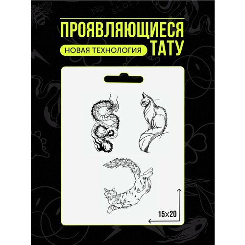 ���� ���� ���������� �������������� �������� ������ ������