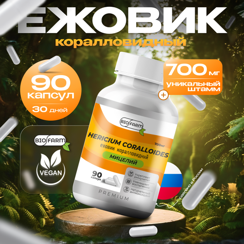 ���� ������ ������������� 700��, ������� ������ �������, hercium coralloides ������ ������