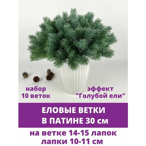 ���� ������ ����� � ������, ������ 