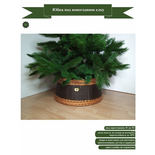 ���� ���� ��� ���������� ���� �����/������ ������ ������