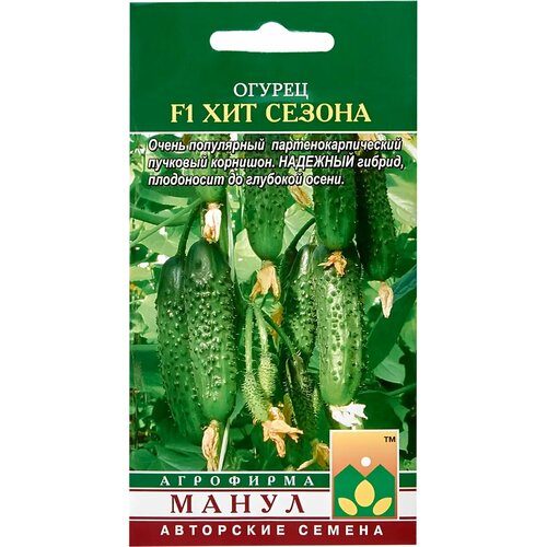 ���� ������ ��� ������ F1 ������ ������