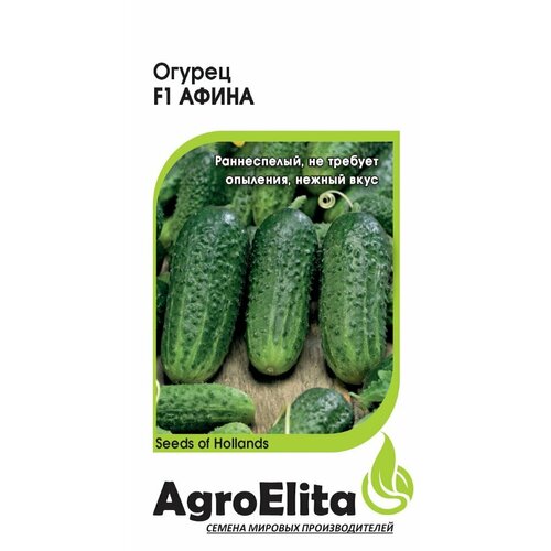     F1, 5, AgroElita, Nunhems(3 )   -     , -, 